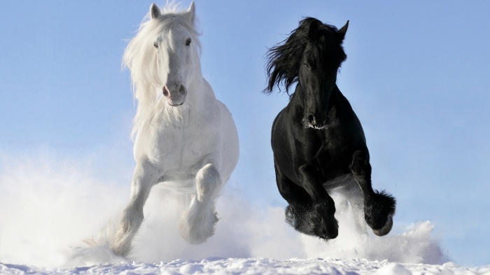 Wallpaper Magic. Part 247 (50 wallpapers)