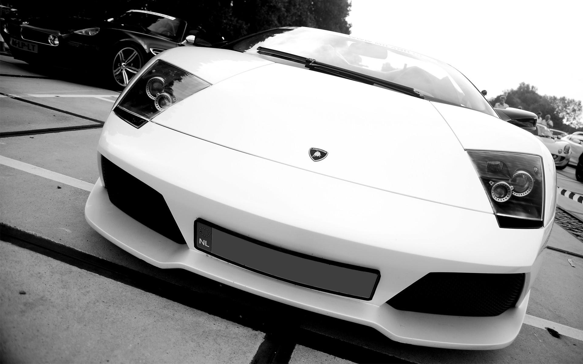 Черно белый капот. Lamborghini Murcielago White. Машина черно белая. Машины (белая). Бело черная машина.