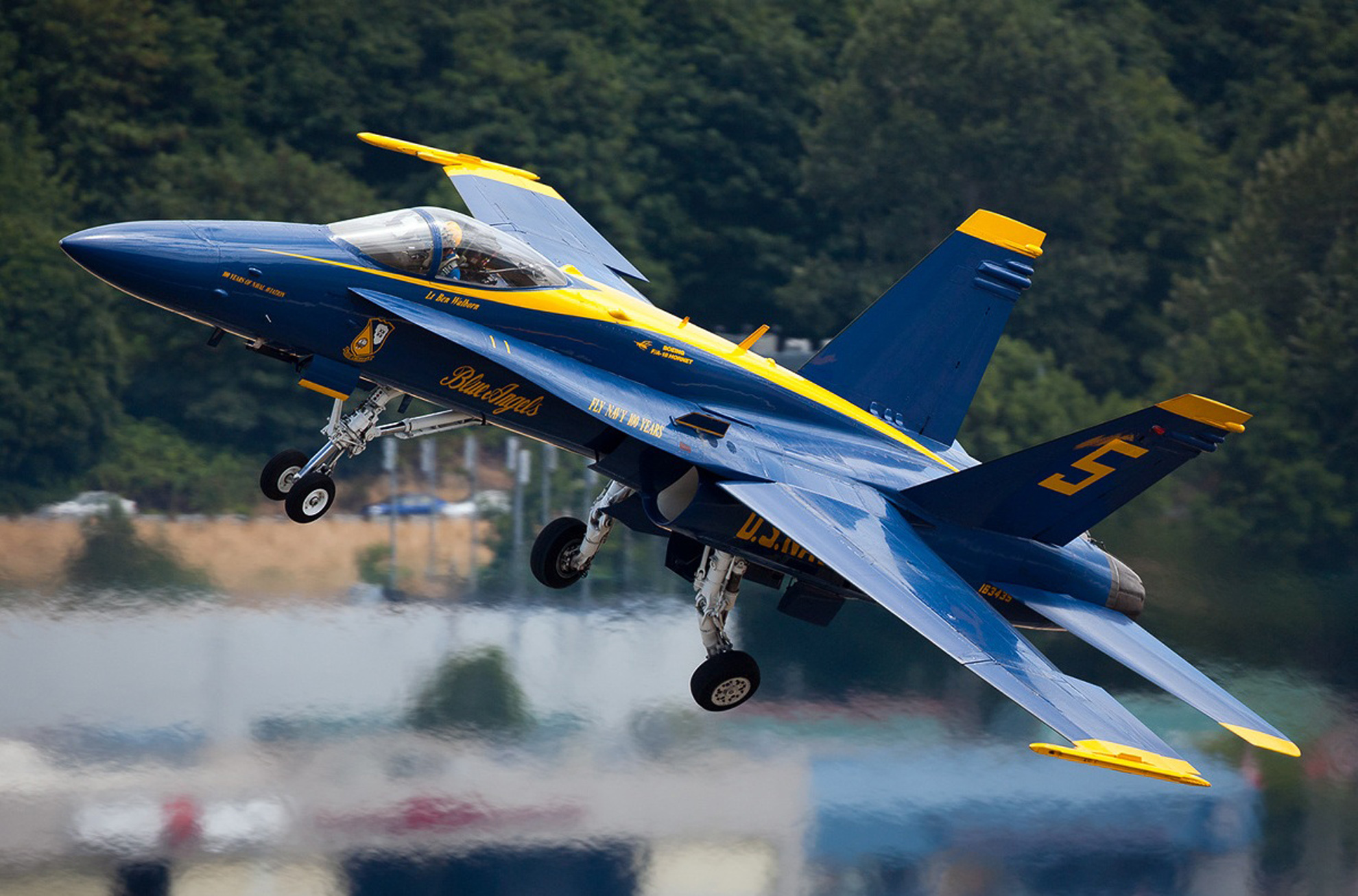 Какие есть истребители. Истребитель Джет Файтер. F-14 Blue Angels. F-15 Blue Angels. F-18 Blue Angels.