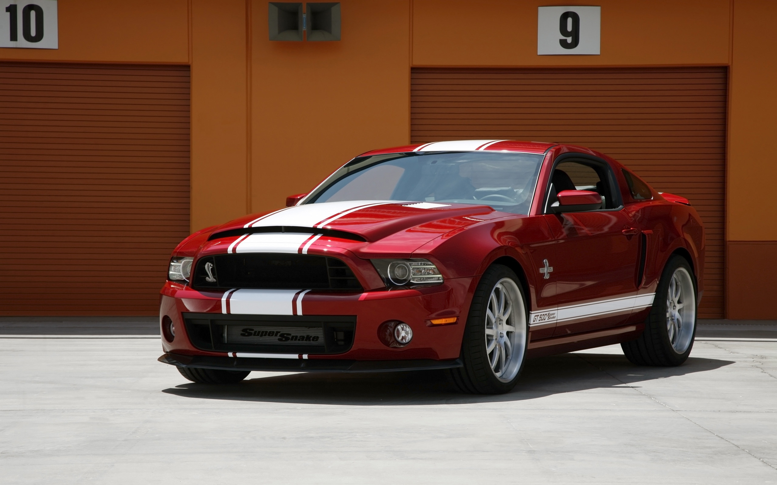 Mustang shelby gt