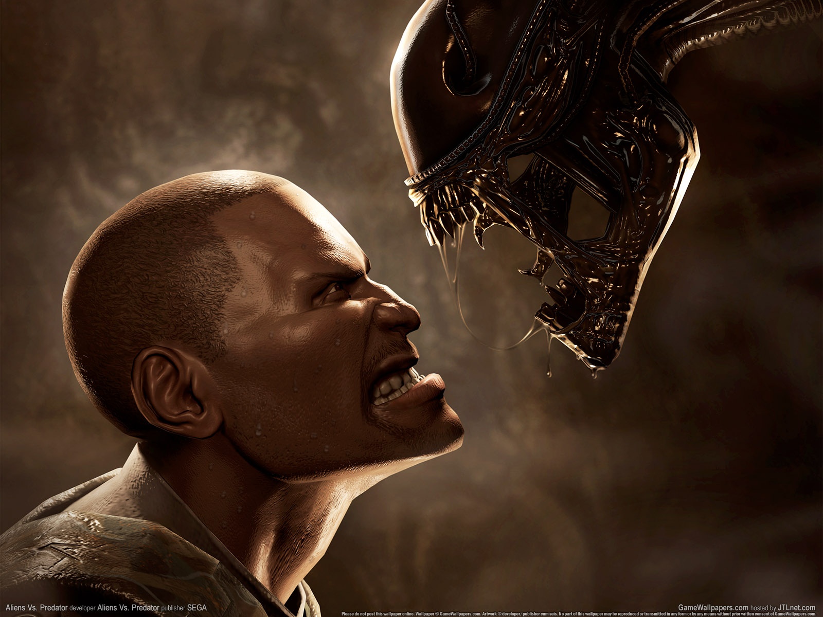С чужим мужиком видео. Aliens vs Predator 2010 морпехи. Обои алиен предатор. Aliens vs Predator морпех.