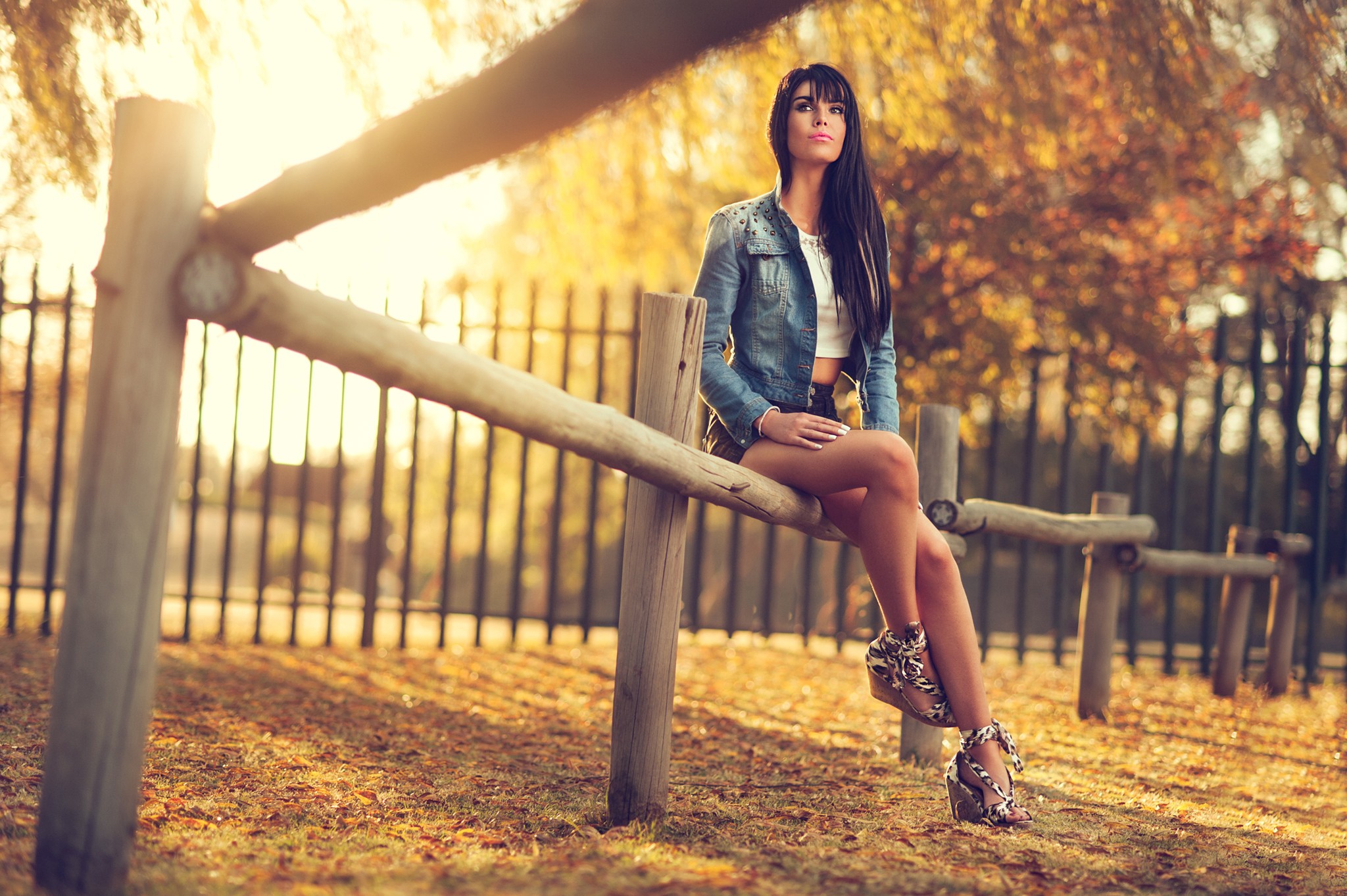 Брюнетка красивые ноги. Фотосессия девушки в парке. Девушка в шортах осень. Девушка в осеннем парке. Брюнетка осенью.
