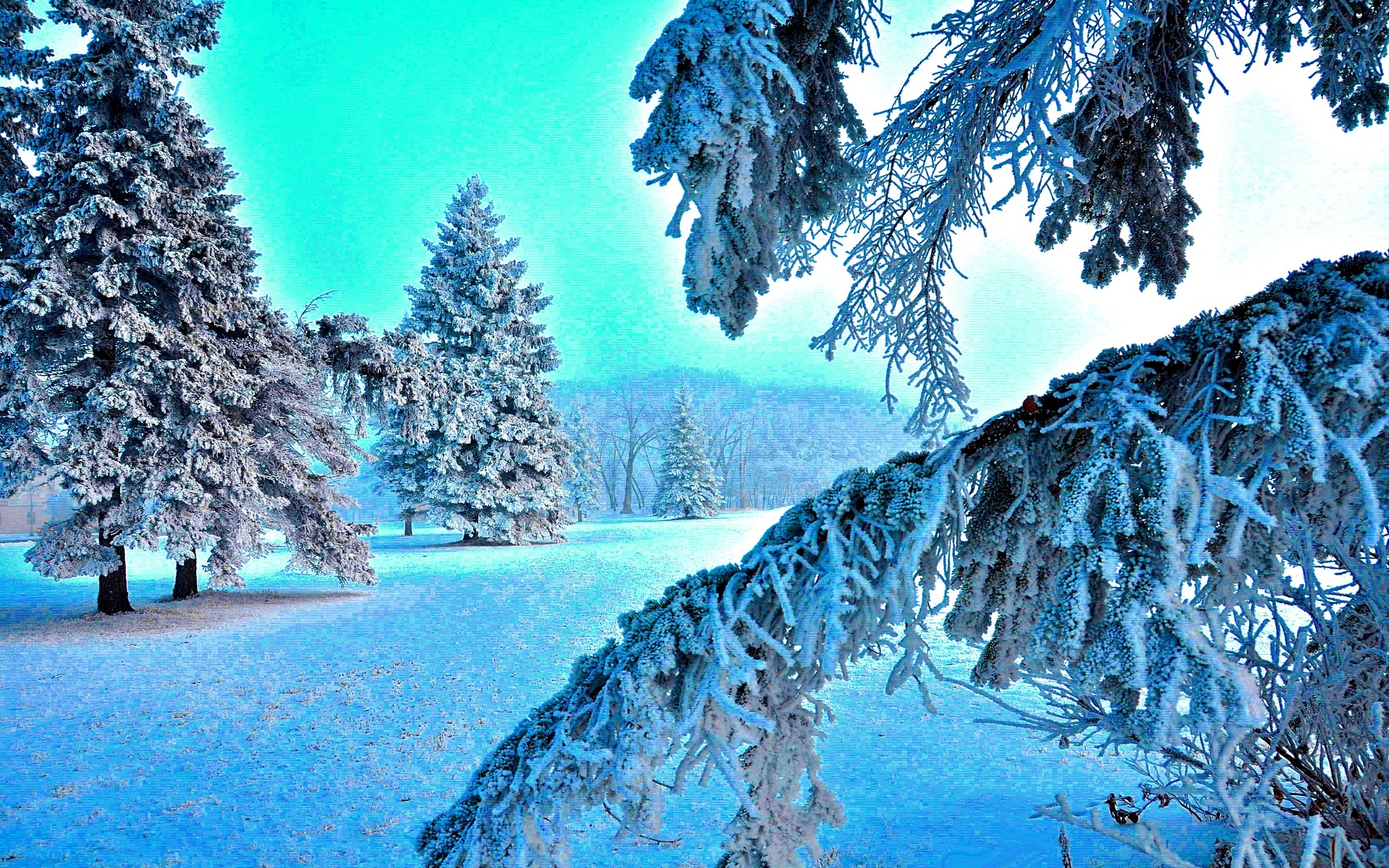 Звуки природы зимой. Зимний пейзаж. Красивая зима. Зимняя природа. Красивые зимние обои.