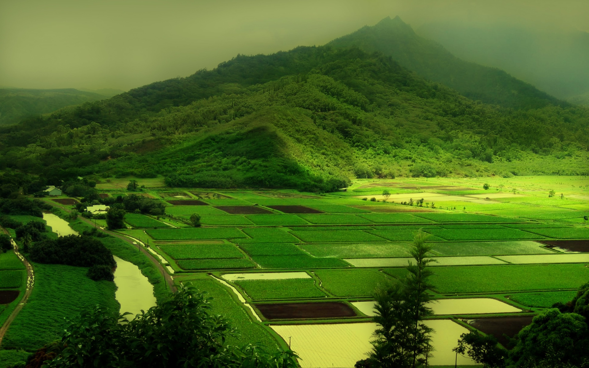 Natural pictures. Green Hills зеленые холмы Ирландии. Грин Маунтин гора. Green Valley Park Бангладеш. Чайные плантации в Китае.