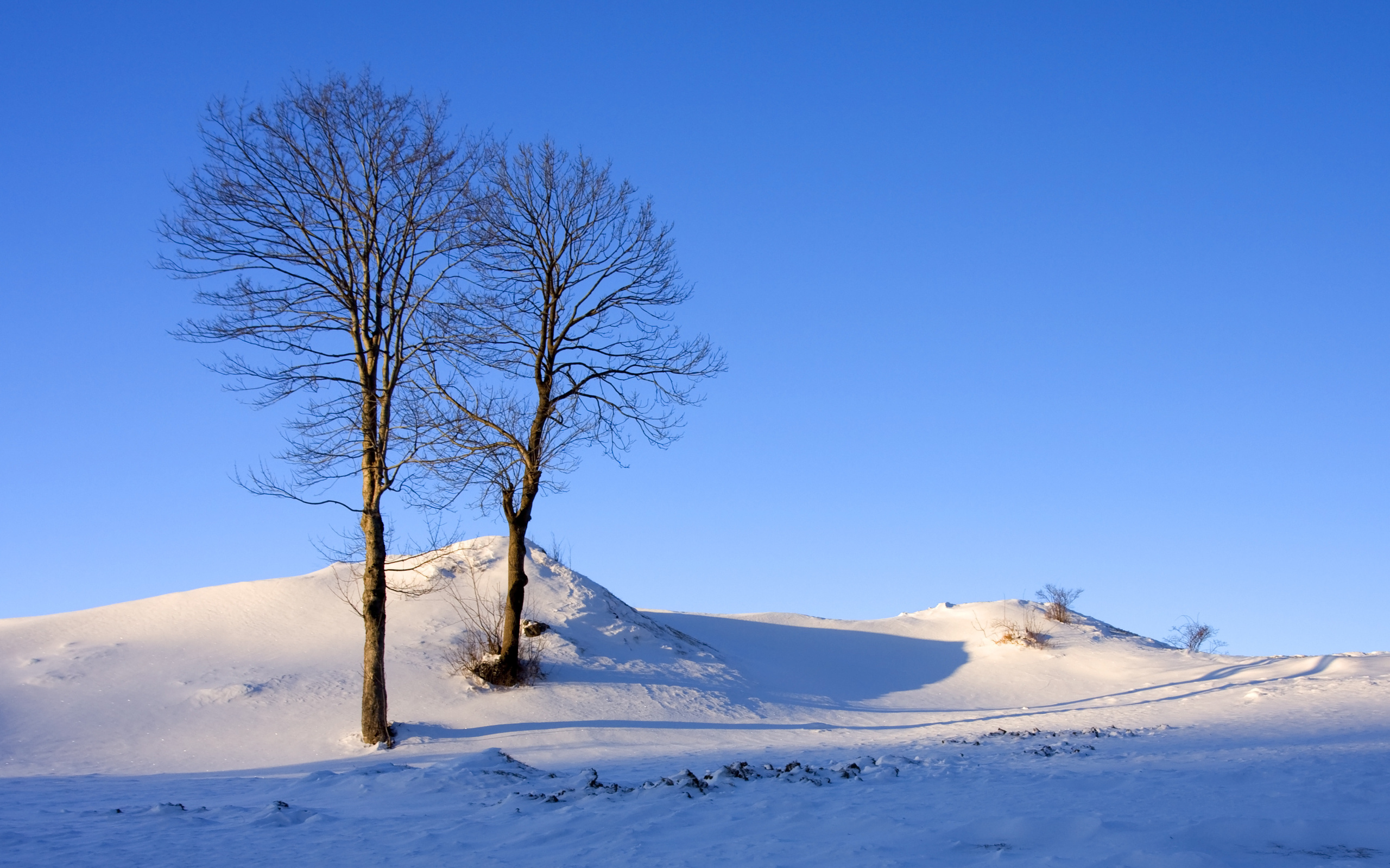 Снег холмы. Заснеженные холмы. Зимние деревья на пригорке. Зима снежные холмы. Холмы в снегу.