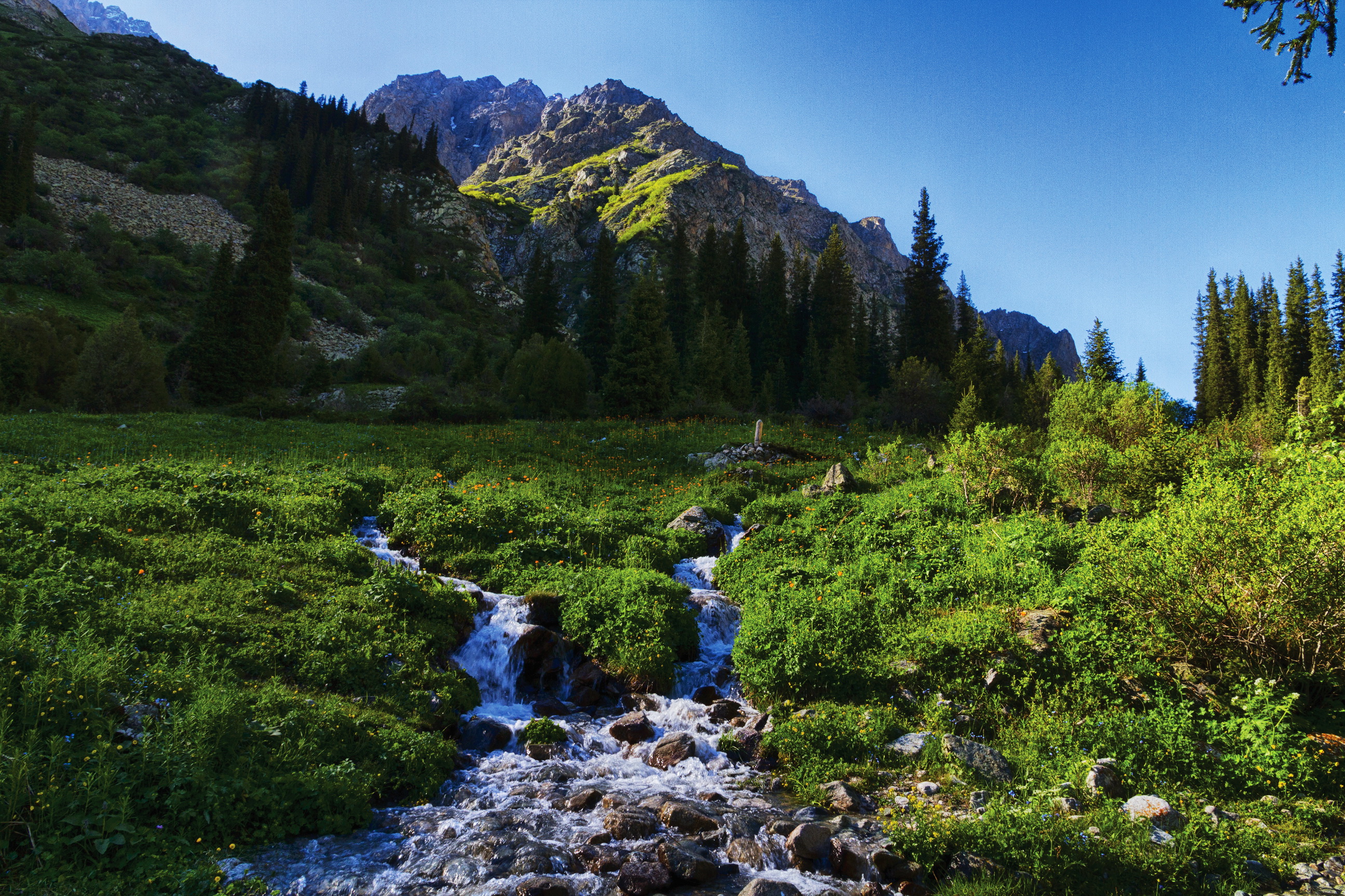 Источник ала. Природа горы Бишкек ала Арча. Природа Кыргызстана ала Арча. Парк ала Арча. Ала Арча природа.